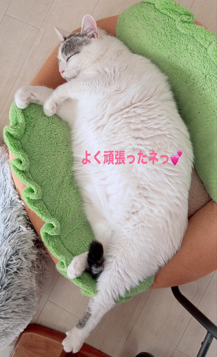 ﾐ☆ maki ☆ﾐ (@maki28009824) / Posts / X