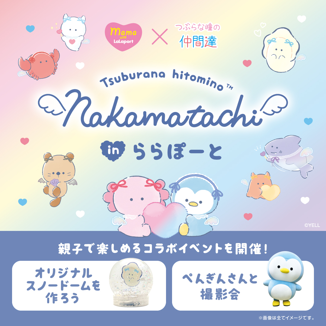 つぶらな瞳の仲間達【公式】 (@tsuburana_aqua) / Posts / X