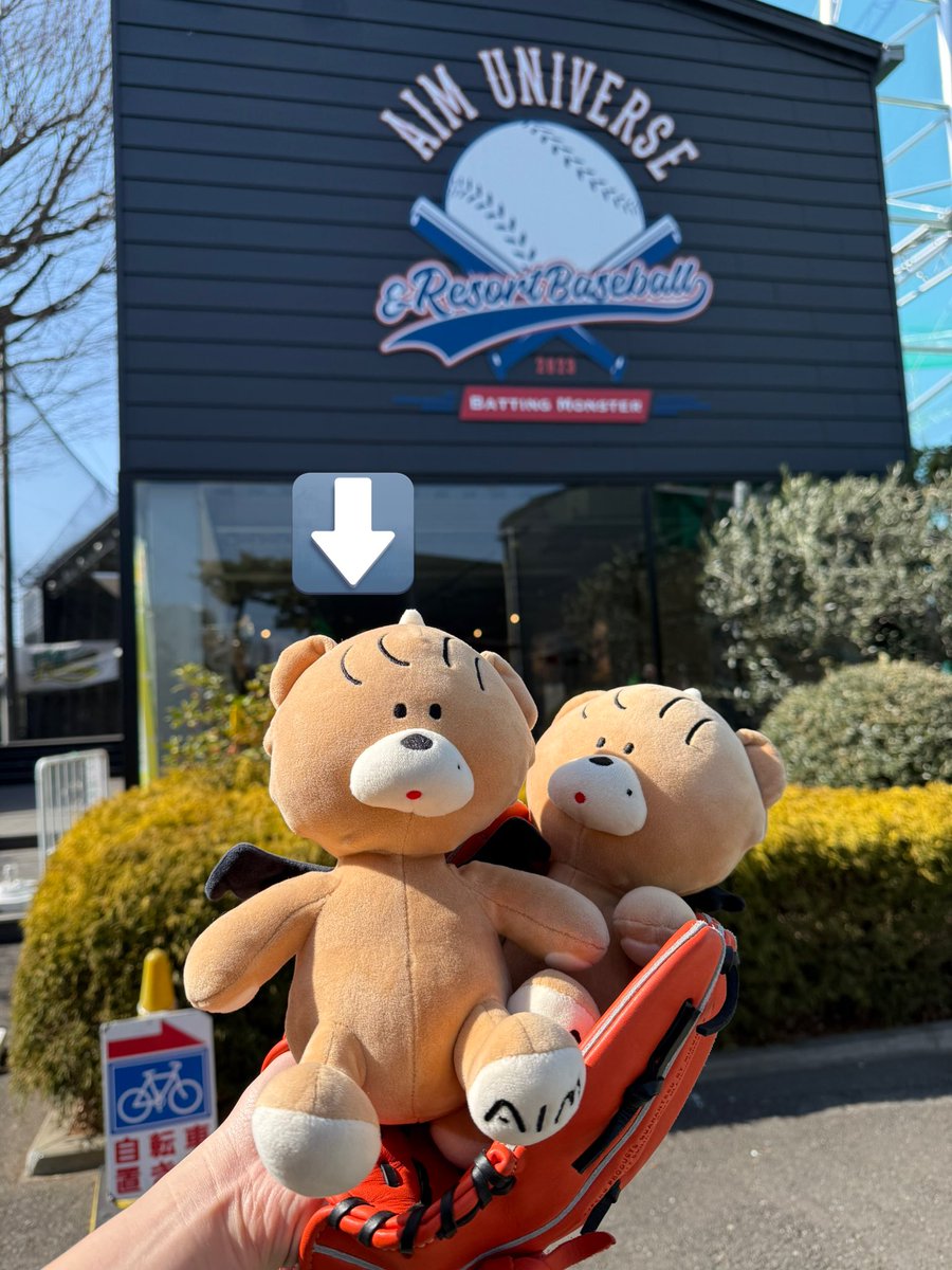 昨日2/23 HYの25周年ライブで大切な大切なあくまくん🧸（くまの