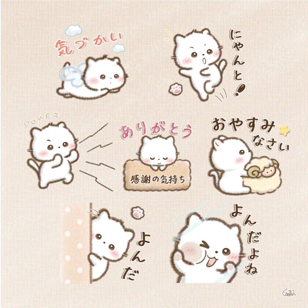 ちゃとらん (@3catshome) / Posts / X