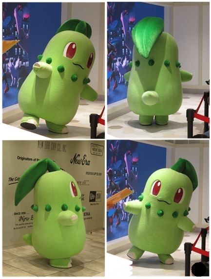 2月15日もチコリータがポケモンセンターにやってくる🍃 2日間の