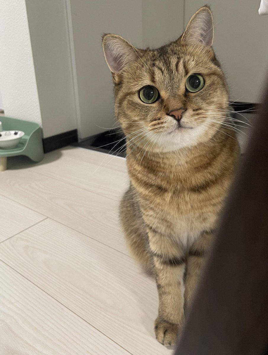 👈3ヶ月 9歳半👉