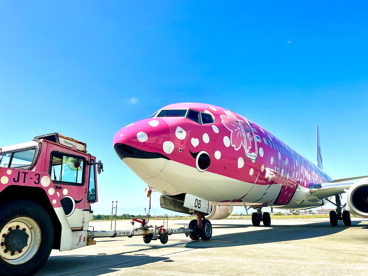 素敵な1枚が届いたのでおすそ分け👀✨ 真っ青に映える真っピンク