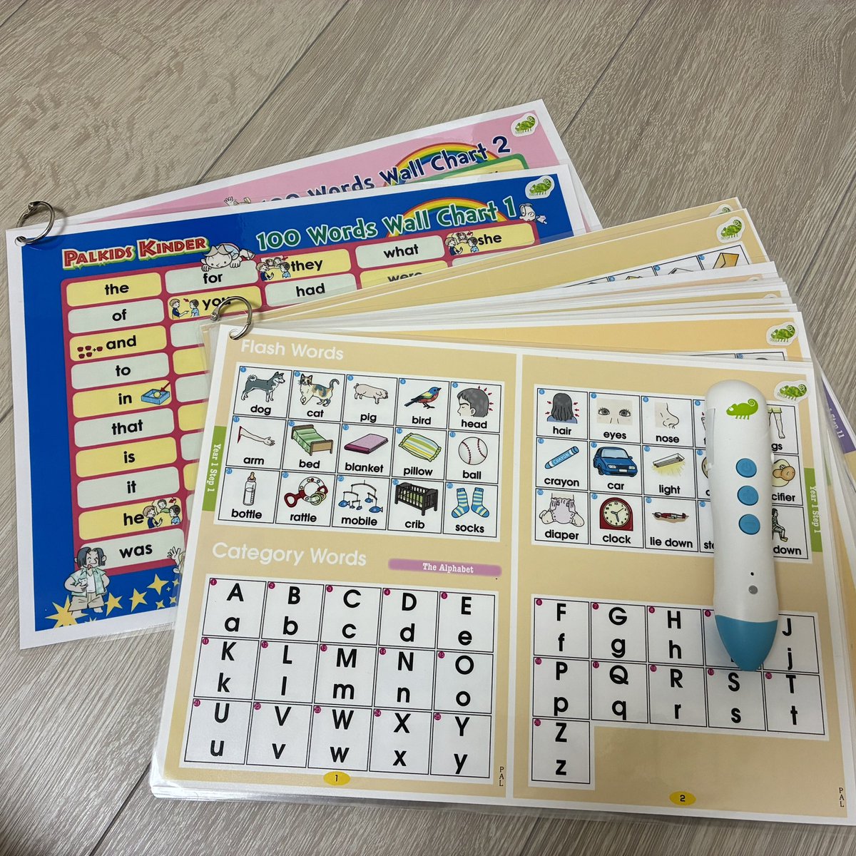 パルキッズ_児童英語研究所 (@palkids_icee) / Posts / X