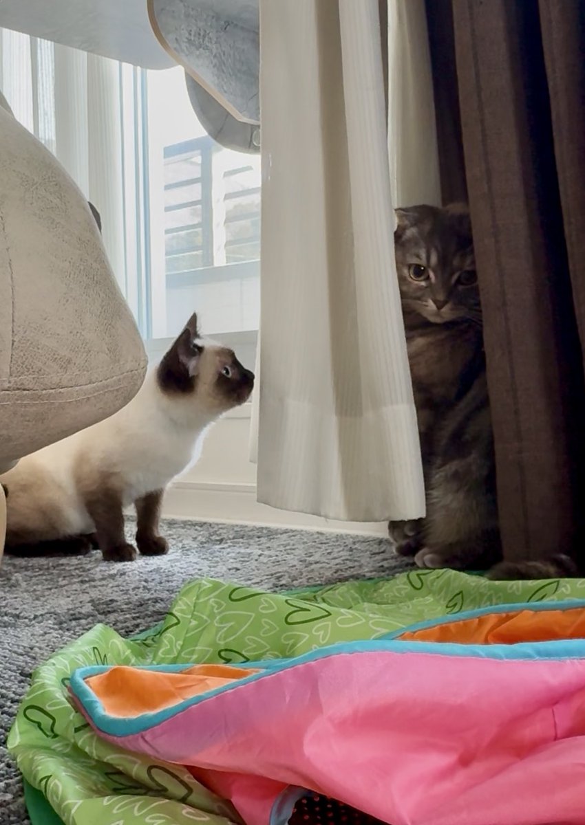 moka (@Moka0527Ramu) / Posts / X