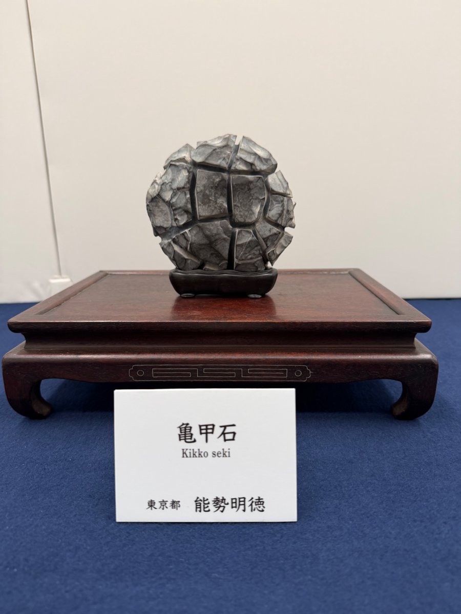 水石展より 銘:歌舞伎揚