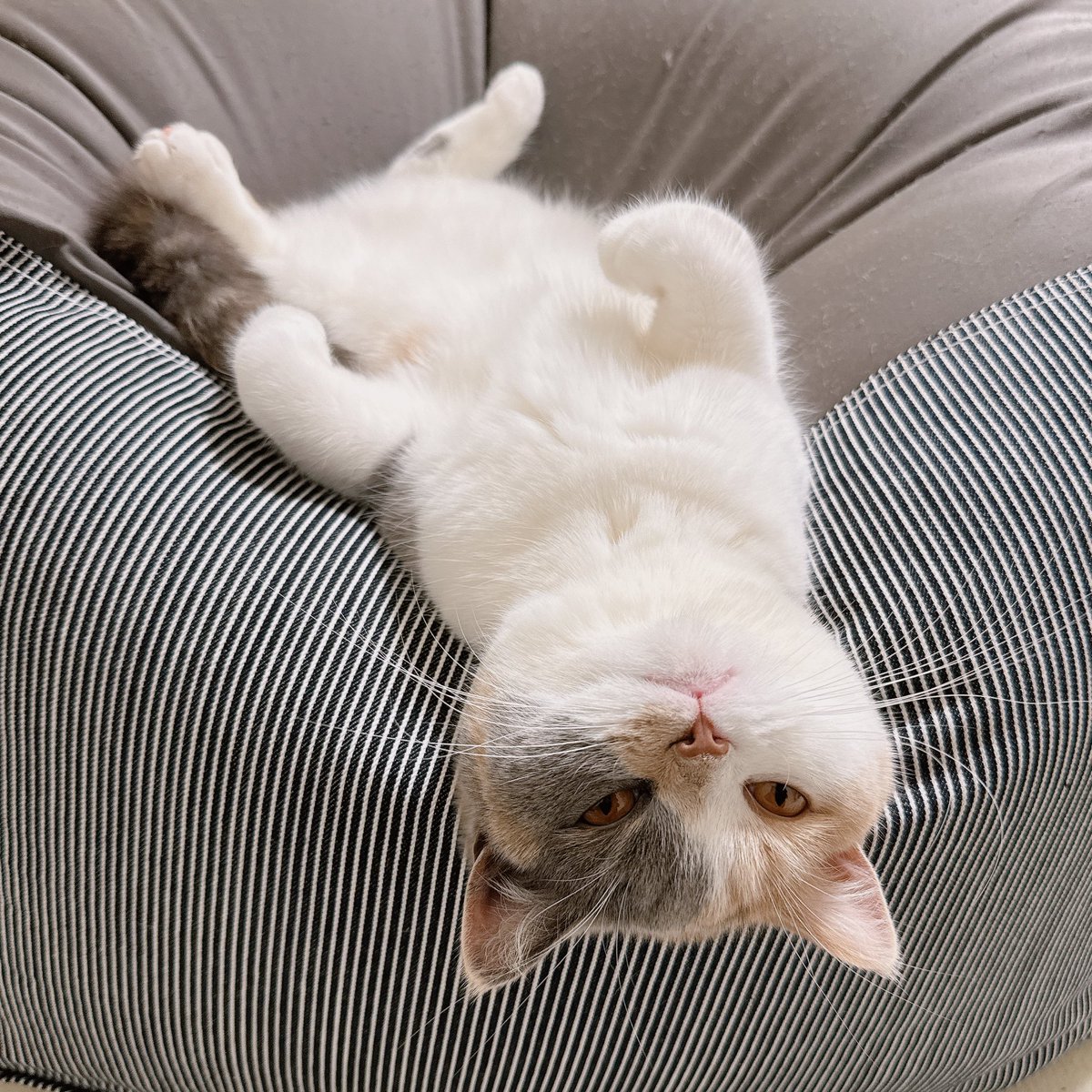 すくすく育ちました