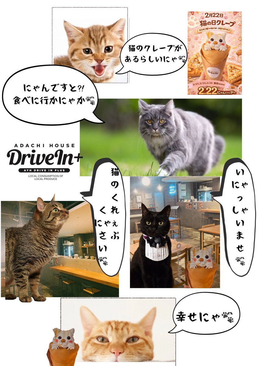 本日から3日間限定MENU🐈🐈‍⬛／ 2・22にゃんにゃんにゃん『猫の日』 2