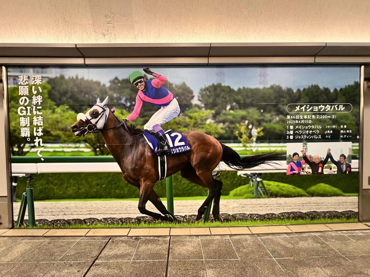 メイショウタバル