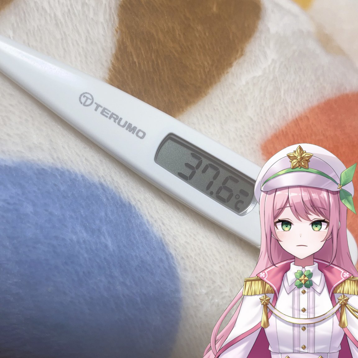 kokoro🌱 (@kokoro__17) / Posts / X