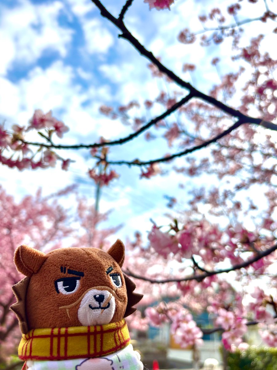 ミケ (@m30397063i) / Posts / X