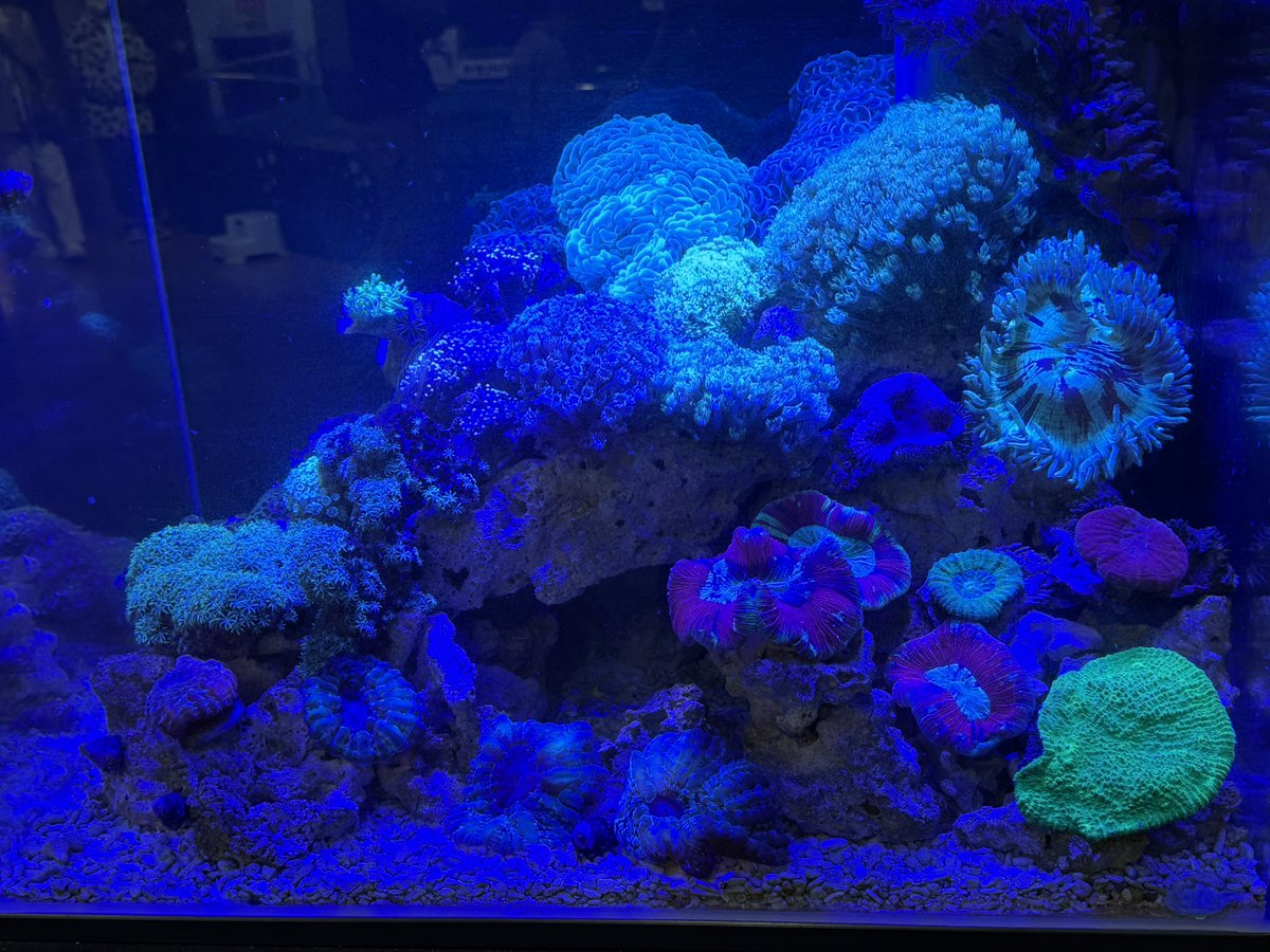 今日は家族みんなで蒲郡市にある竹島水族館に行きました🚗🛣️🏝️🐟 2