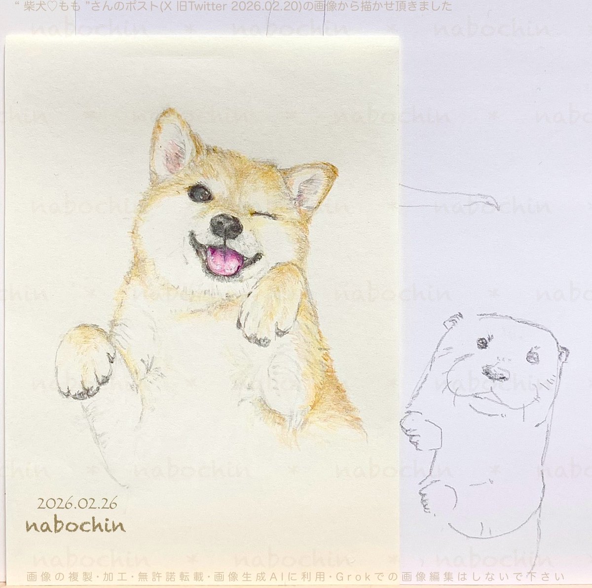 ↑の絵の… 着彩前 と 着彩後 ＆ らくがき 趣味 #鉛筆画 #色鉛筆画