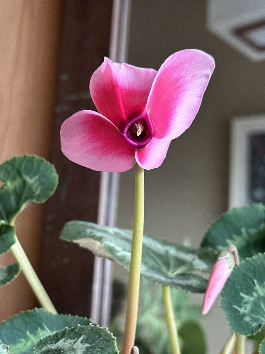 ☆たけちゃんさん☆ (@117takecyanman) / Posts / X