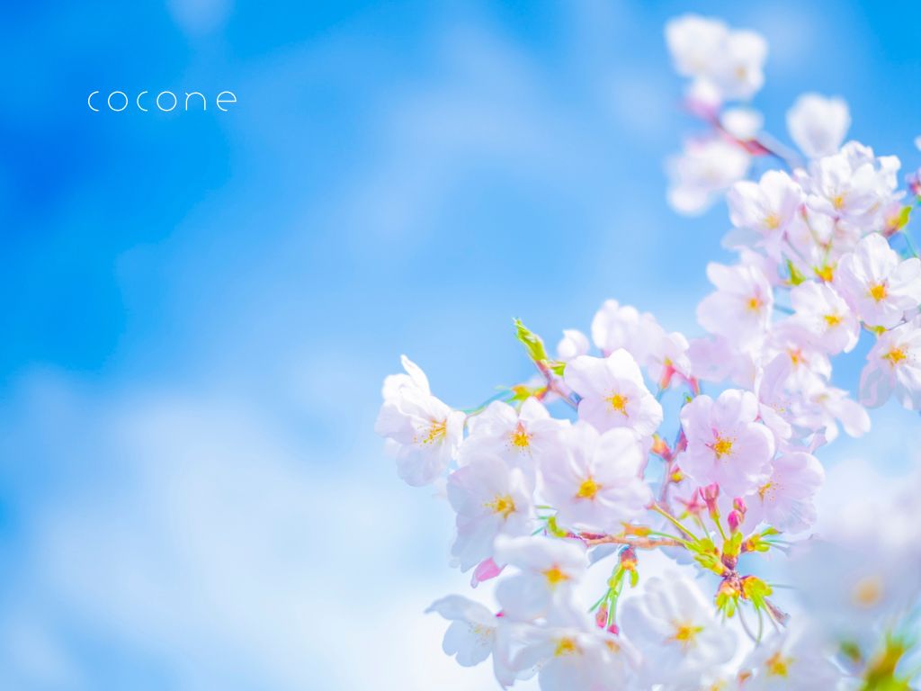 Post by cocone(ココネ公式) on X: 待ち遠しい♪