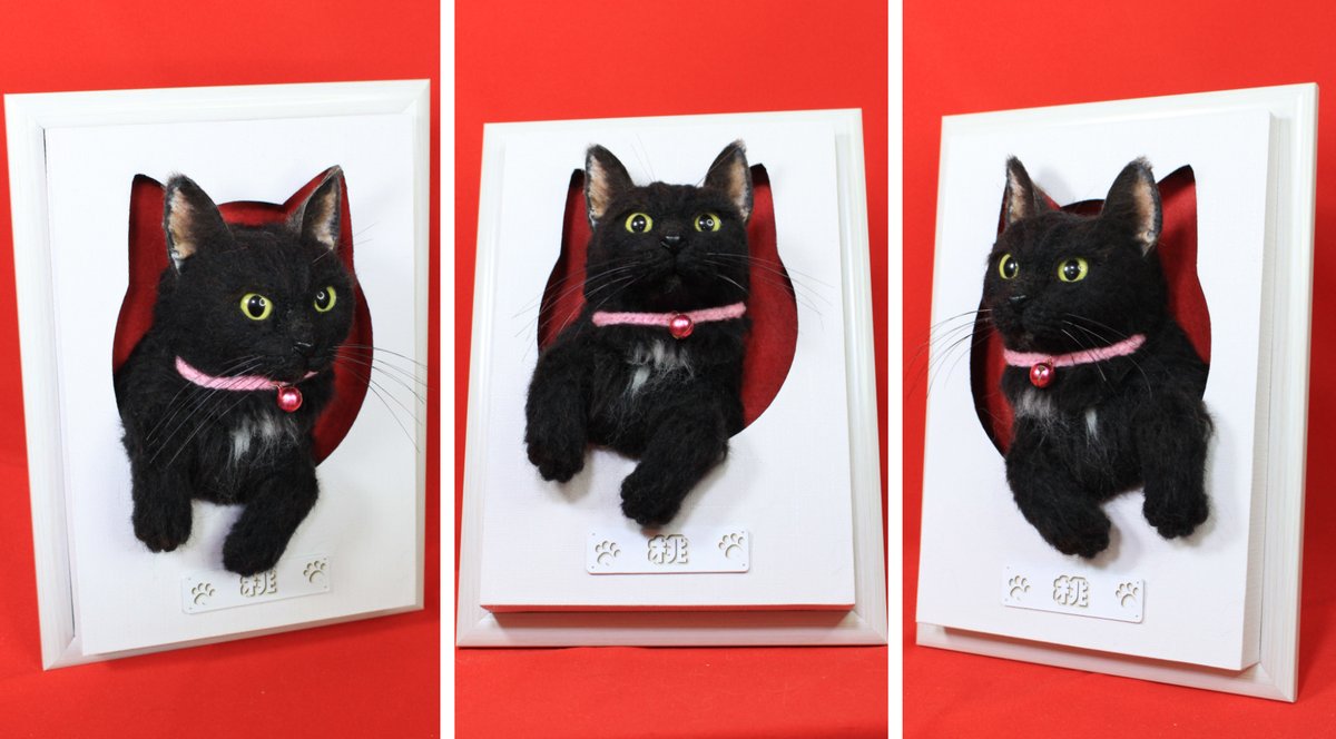 昨日の続きの黒猫の桃ちゃんの「我が家の猫様」です、 個人的に一番