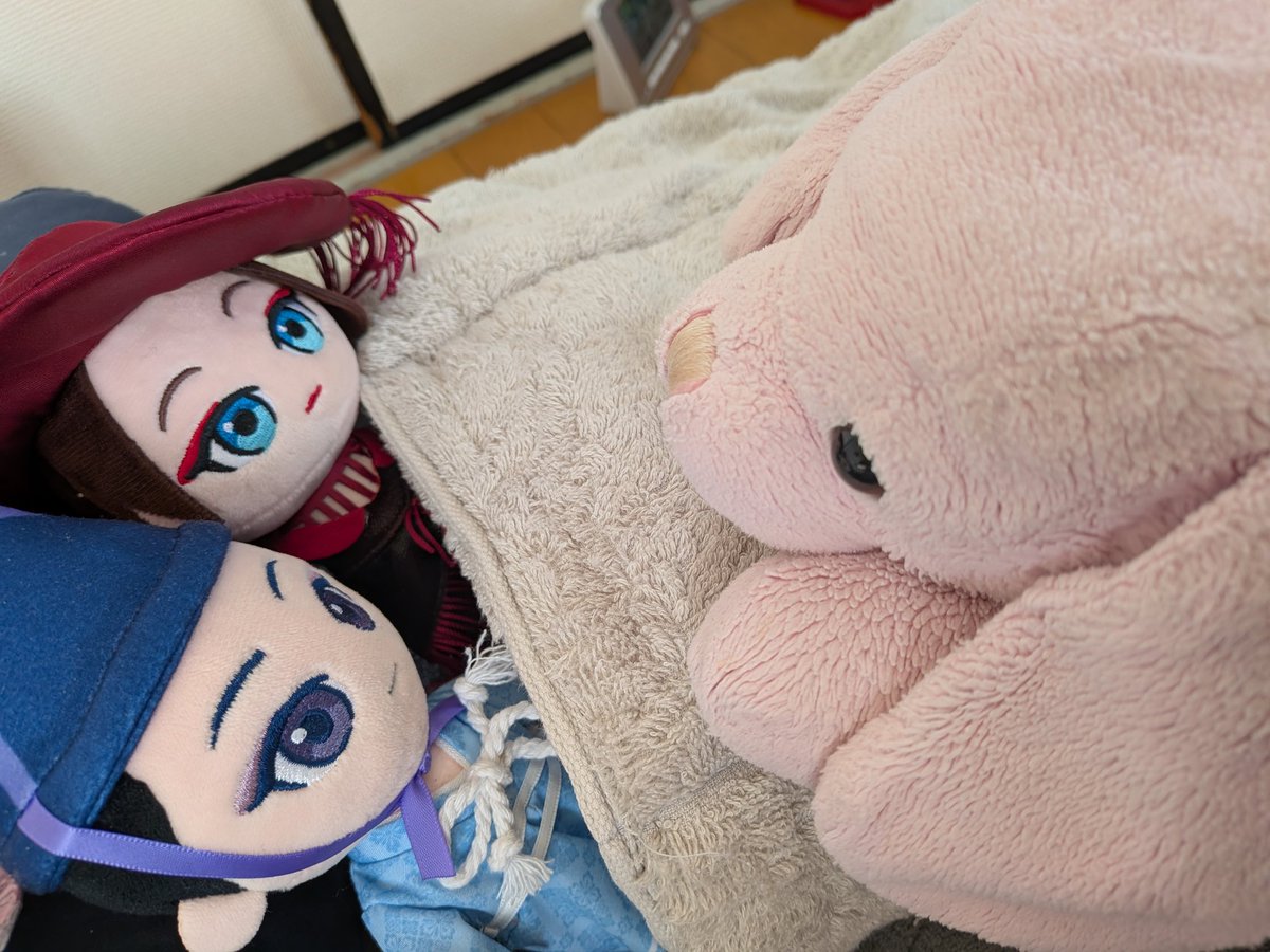 おはようございます🌞🌱 朝から可愛い😍😍😍 みんな可愛い😍😍😍 #キー