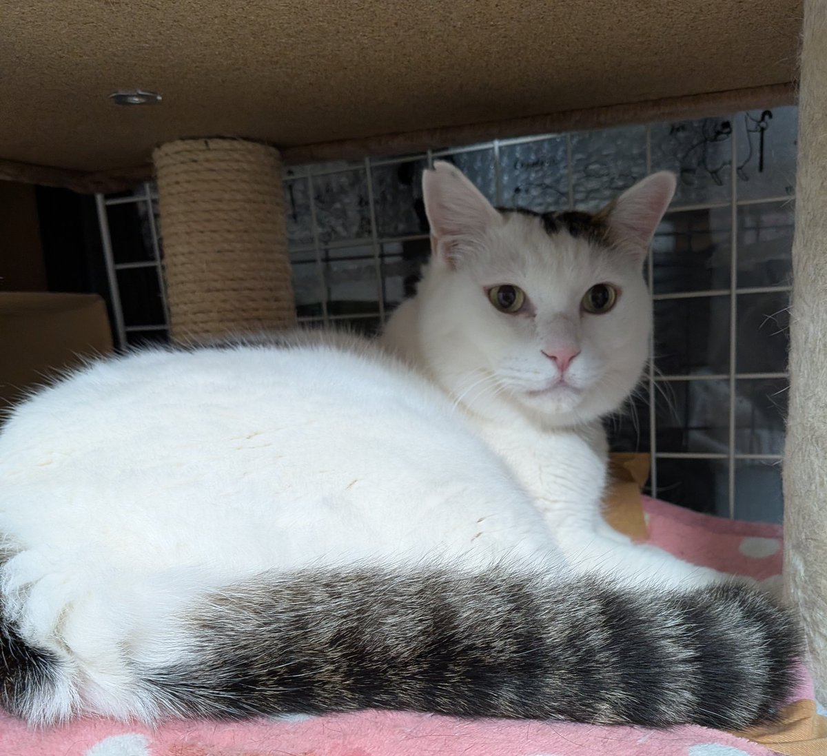 RuRu (@Haruka0711star) / Posts / X