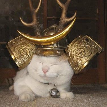 てるりん (@terurinrin) / Posts / X