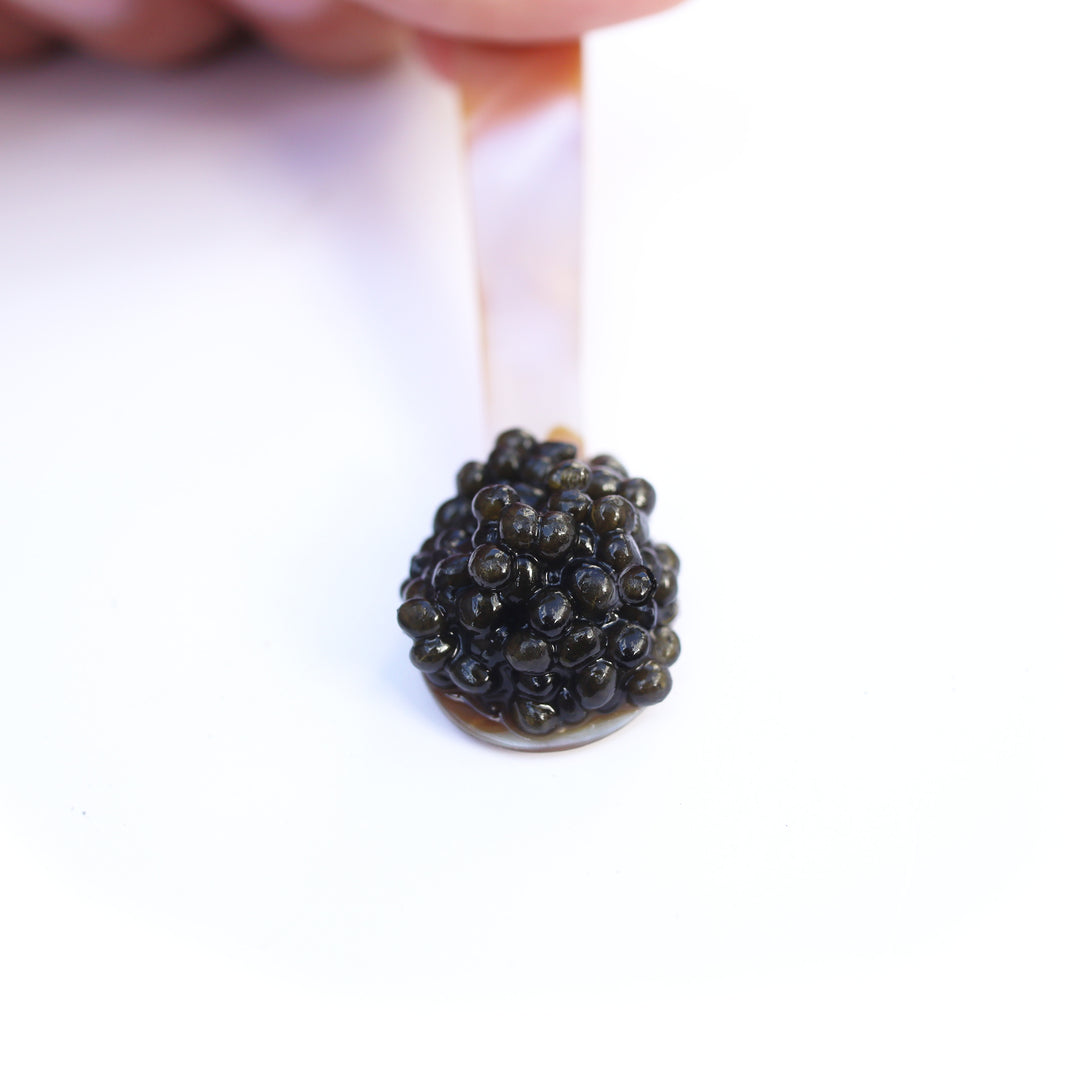 Shop Ossetra Alpina Caviar Online | Pearl Street Caviar | NYC