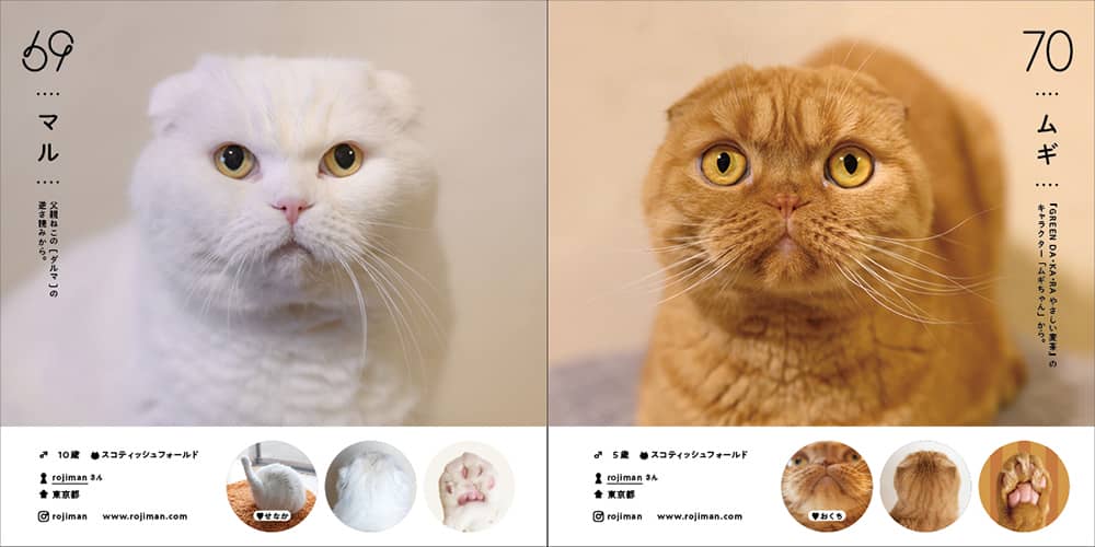 推しねこ”がきっと見つかる、オールスターねこ名鑑本『ねこさま名鑑100』