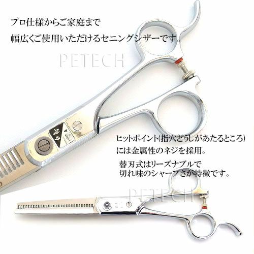 未使用 FRANZコレクションのサザン・スプレンダーの白鳥シリーズ 箱