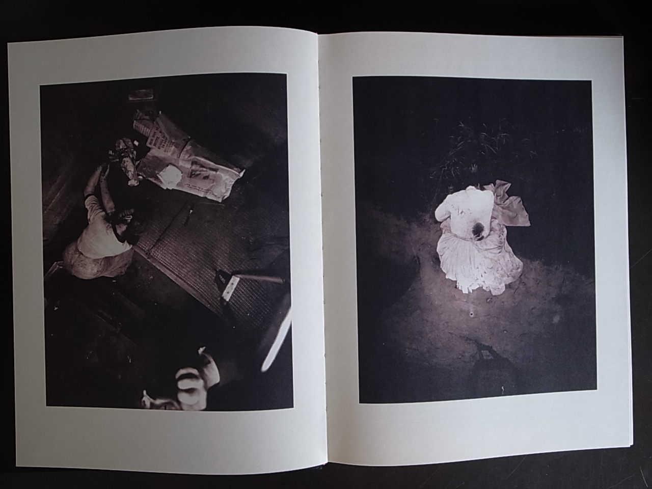 HARMS WAY / Joel-Peter Witkin : Books & Things