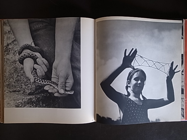 SUMMER'S CHILDREN / Barbara Morgan : Books & Things