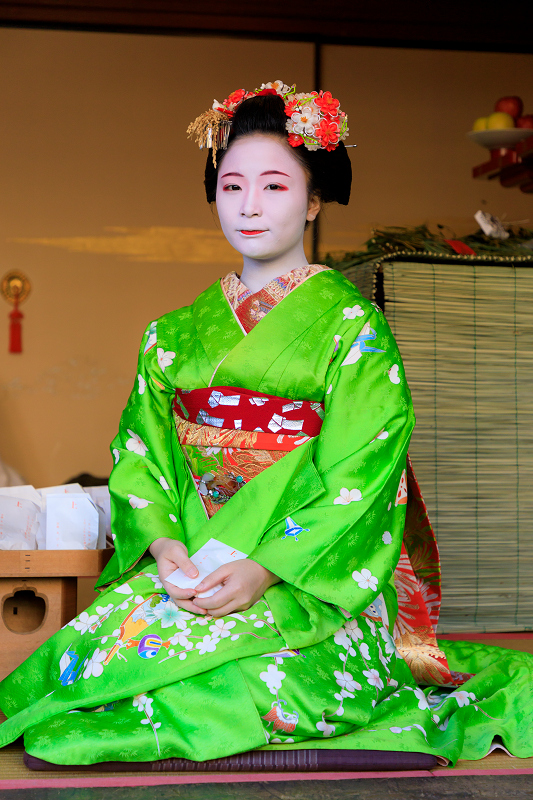 十日ゑびす・残り福（祇園甲部 槇里子さん、小純さん） : 花景色