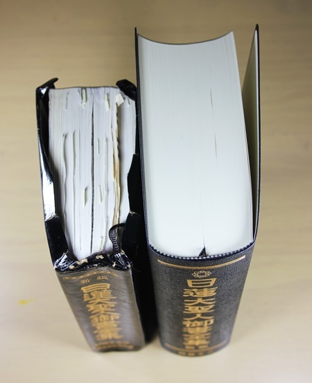 新版・日蓮大聖人御書全集（旧御書との違い） : 創価の森通信