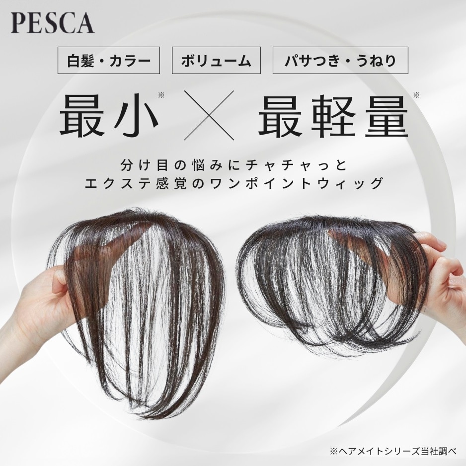 HAIRMATE chacha（チャチャ） (部分用ウィッグ)(ペスカ)｜通販の