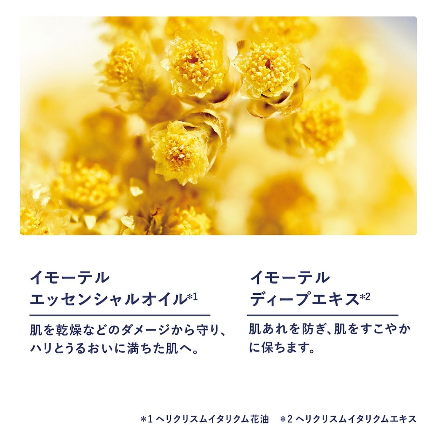 ボックス入り】イモーテル エキスパートデュオ(ロクシタン/L'OCCITANE