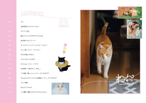 月刊わんこ vol.7 特別号「にゃ！？にゃんだって！？にゃんこ特集