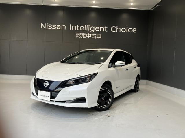 日産 リーフ 2017年モデル Xの価格・性能・装備・オプション（2021年4