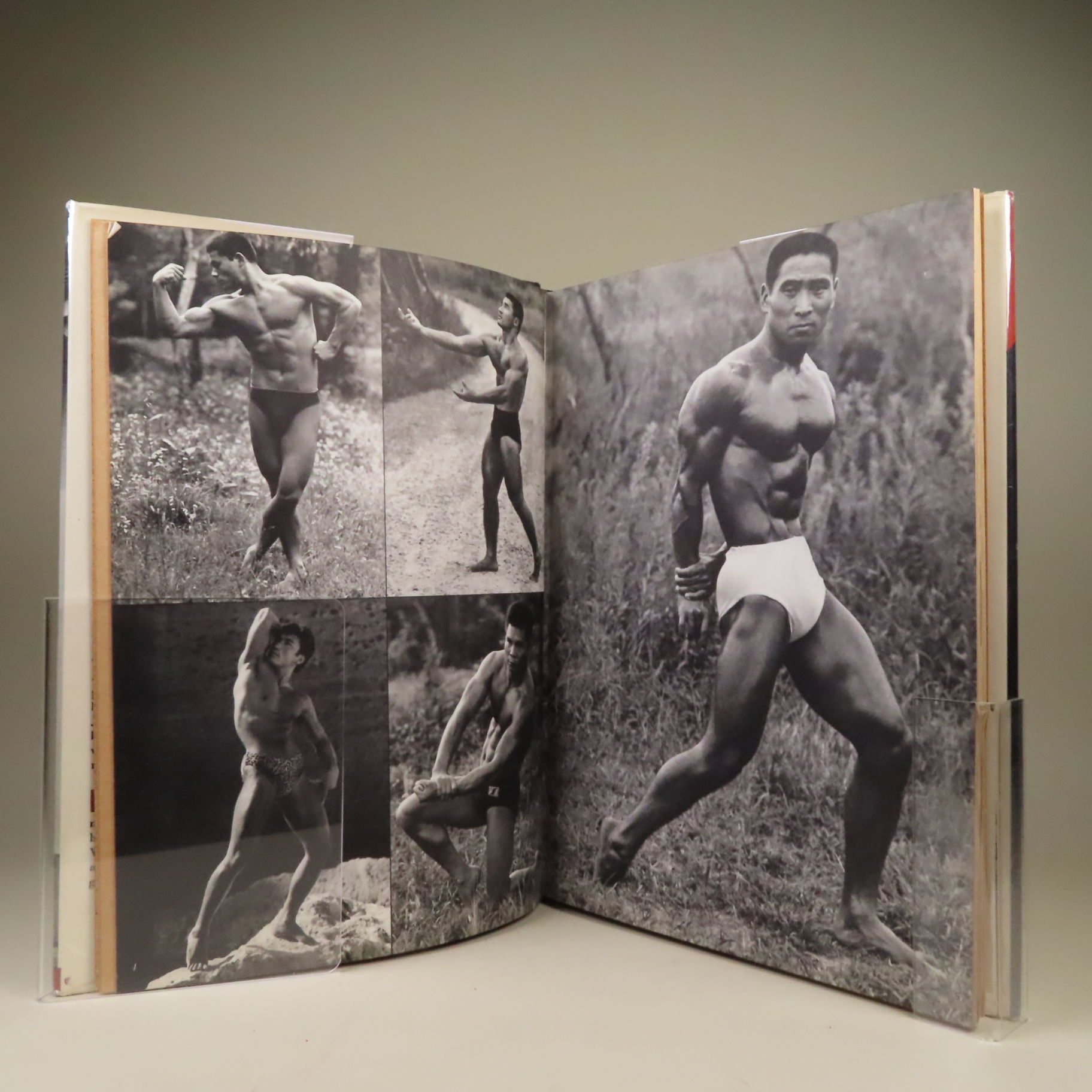 Young Samurai, Bodybuilders of Japan by Tamotsu Yato (Photographer