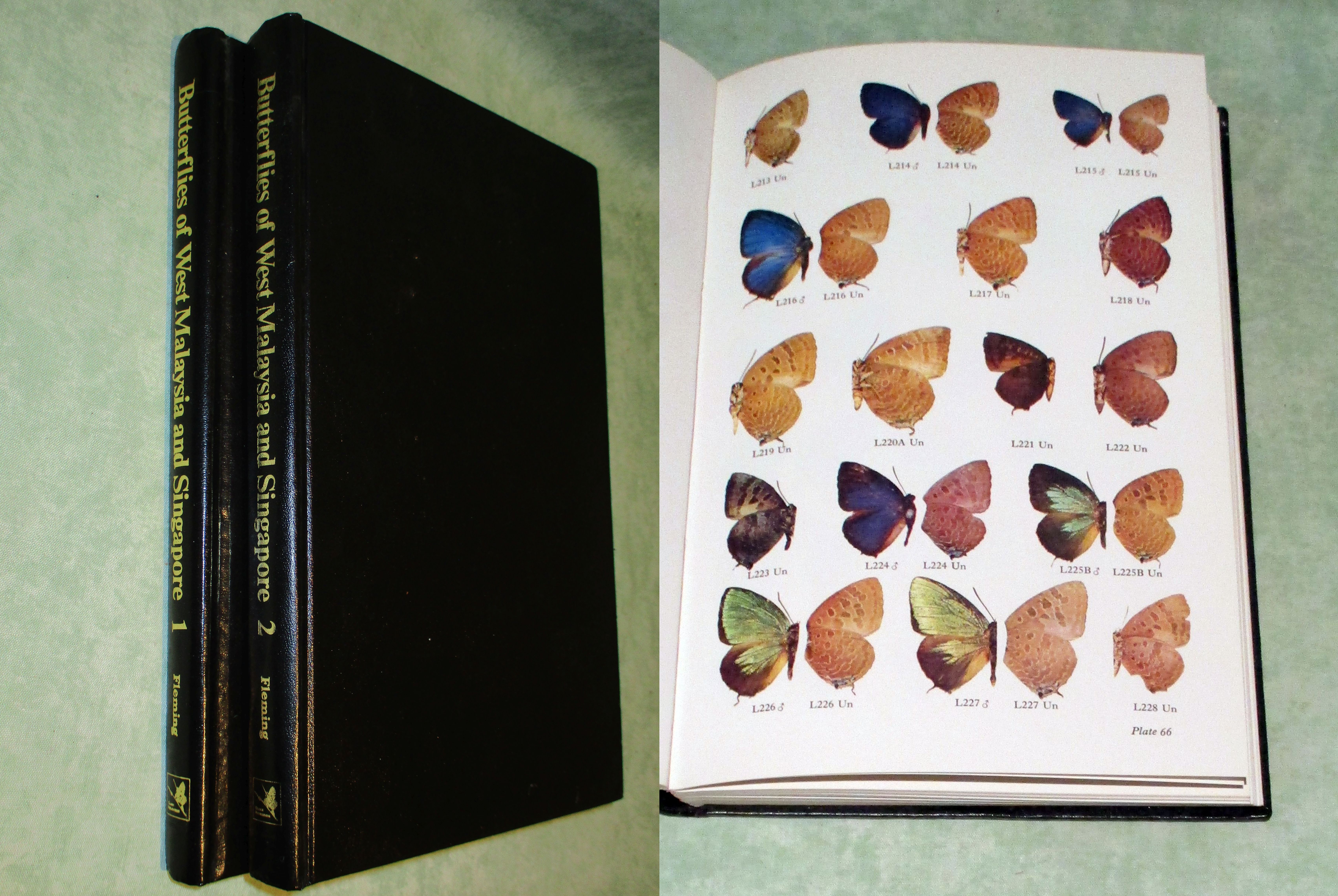 Butterflies of West Malaysia and Singapore. 1. by Lepidoptera