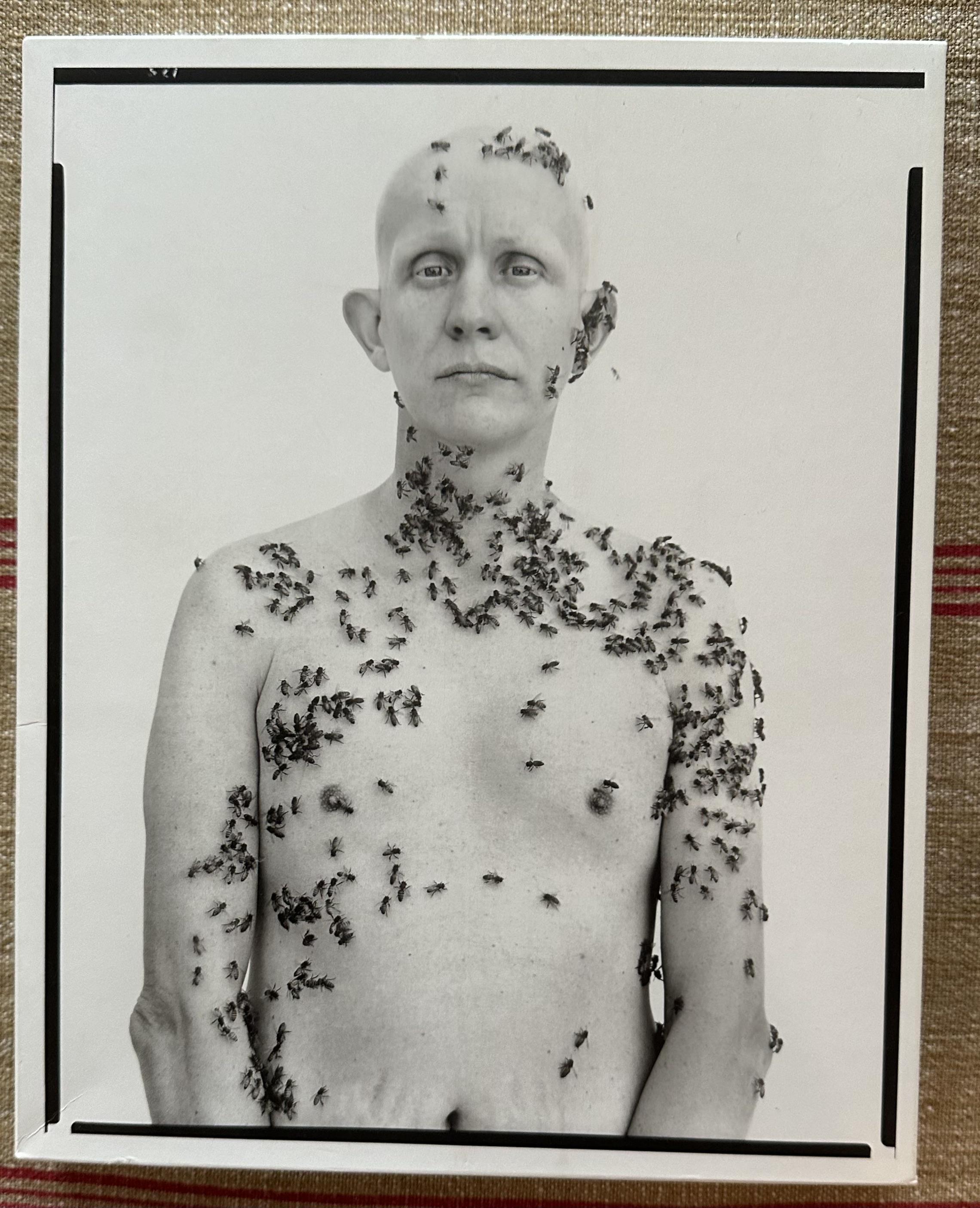 Richard Avedon Portraits: Very Good Hardcover (2002) 1st Edition