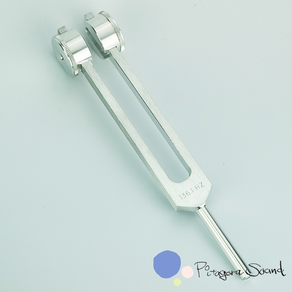 バイオソニックス社 アーカイブ | ピタゴラサウンド | Pitagora Sound