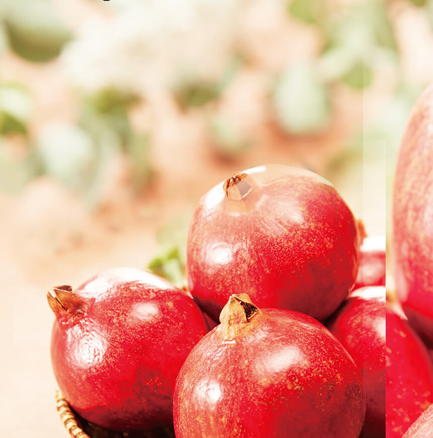 カリフォルニアざくろ協会