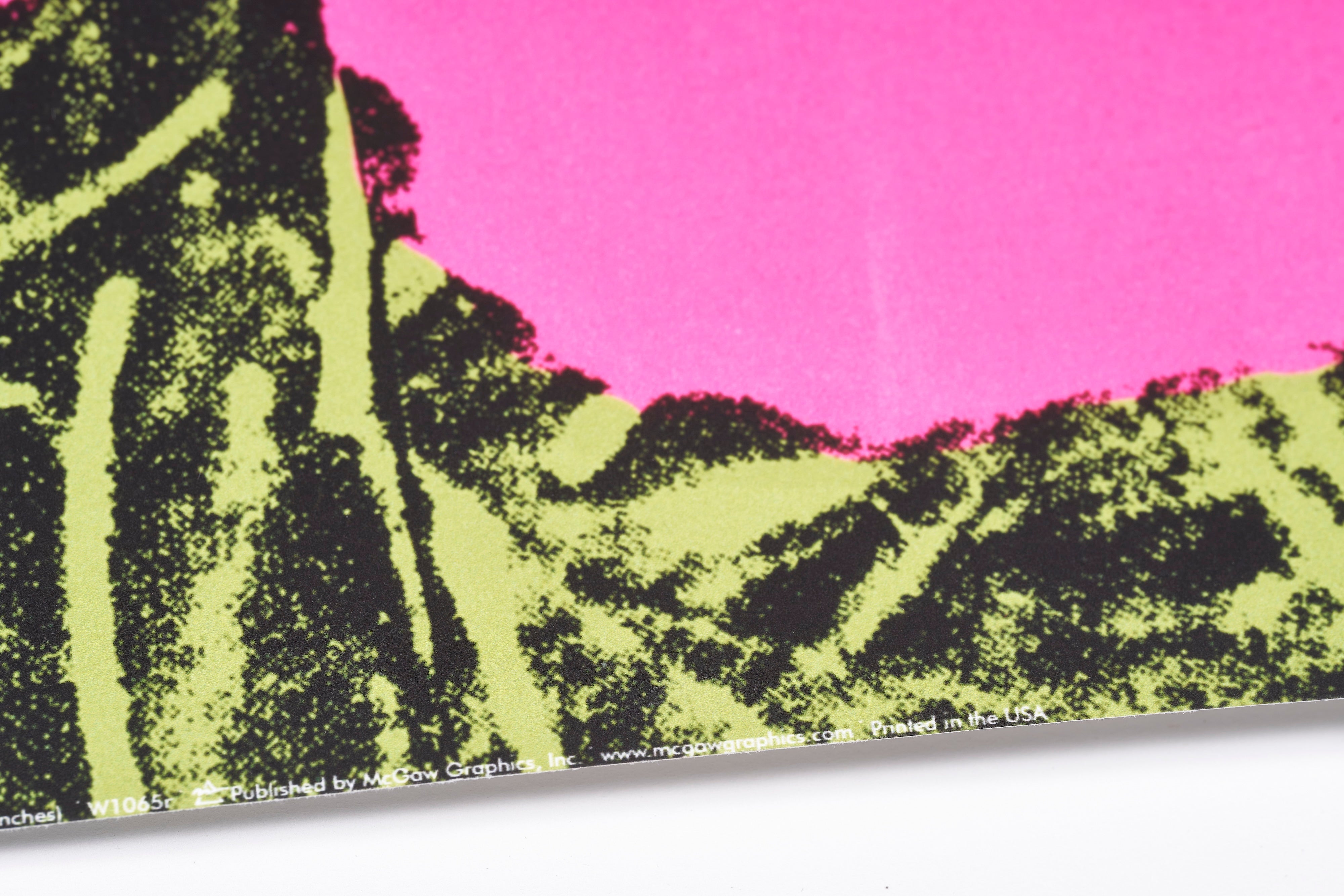 限定20枚】Flowers 1970 - McGAW GRAPHICS 2000s / アンディ