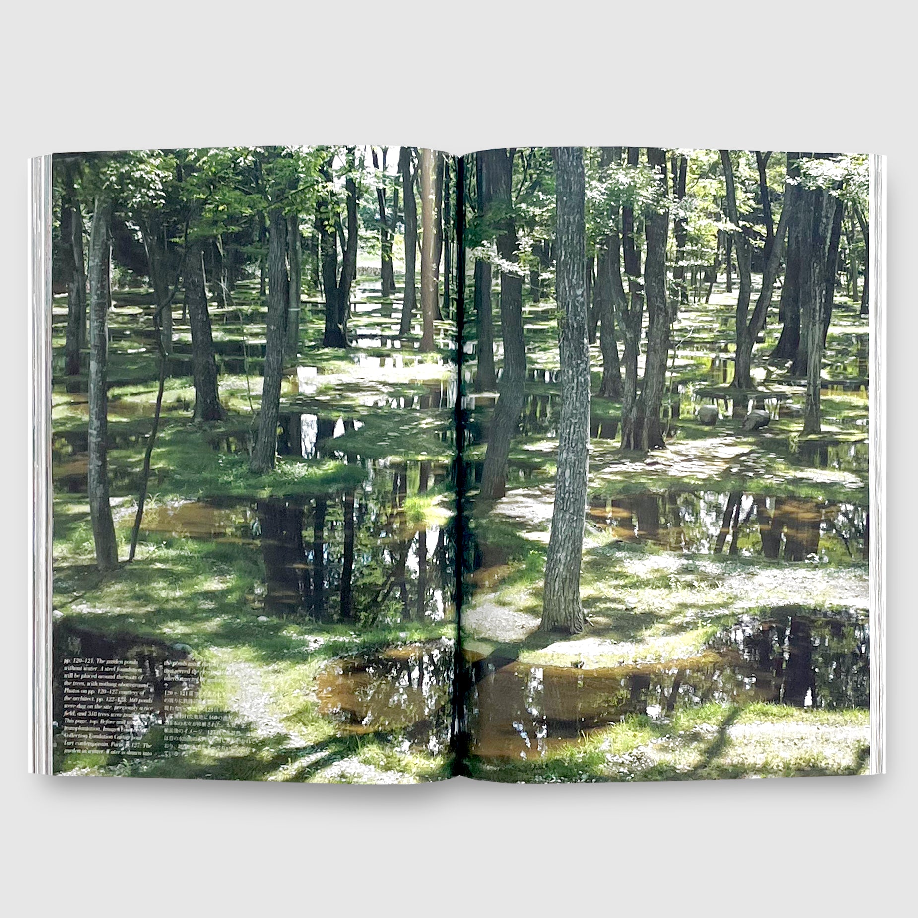 a+u 2023年11月号 特集：石上純也 最初から現在まで | Post