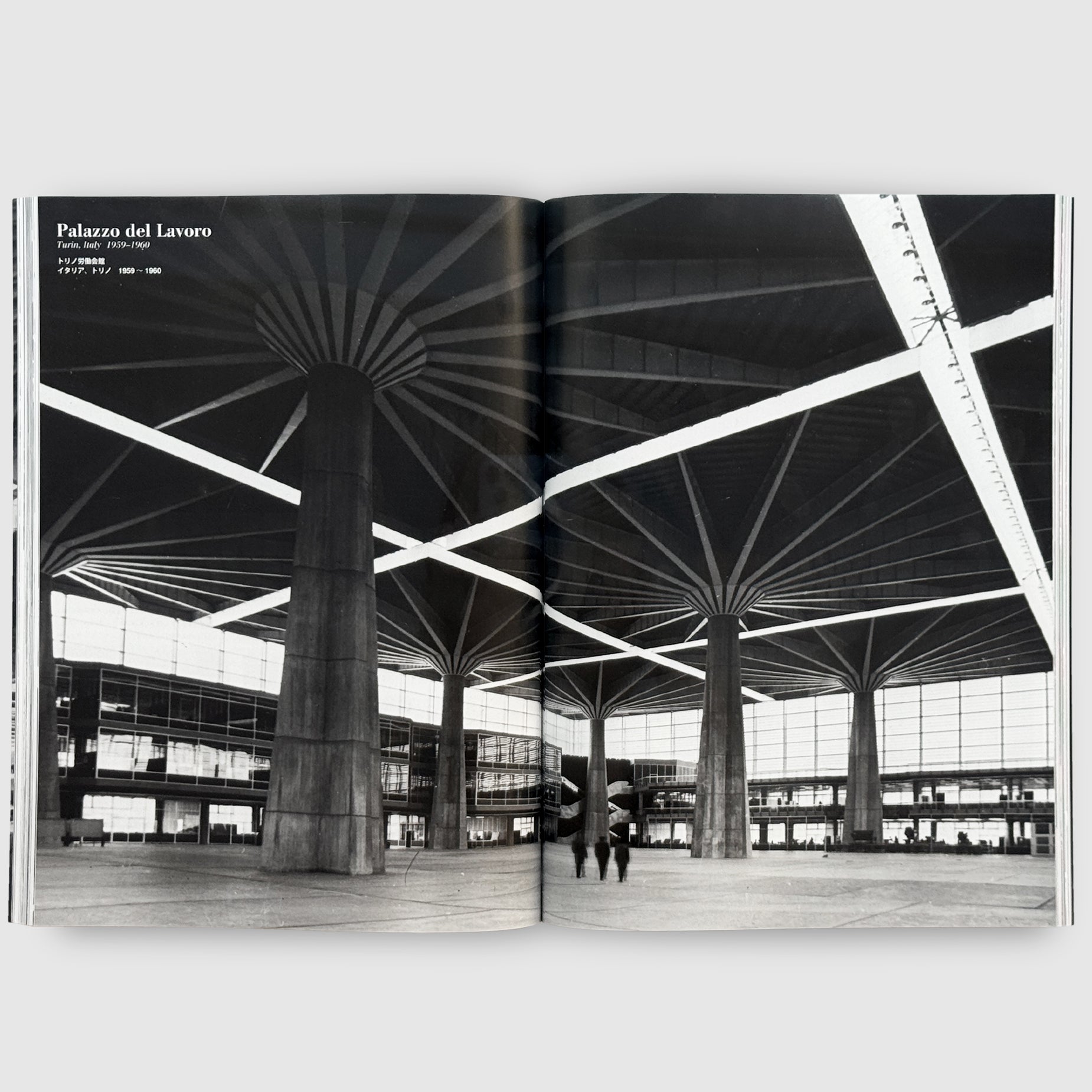 a+u 2025年9月号 特集：ピエール・ルイジ・ネルヴィ | Post