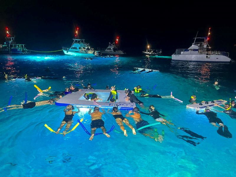 ハワイ州がマンタウォッチングツアーの規制を検討 | 毎日がアロハ