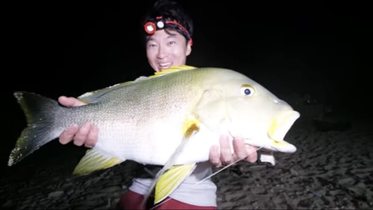 マジか」「こんなところで…」砂浜で釣れたまさかの“魚”に反響多数