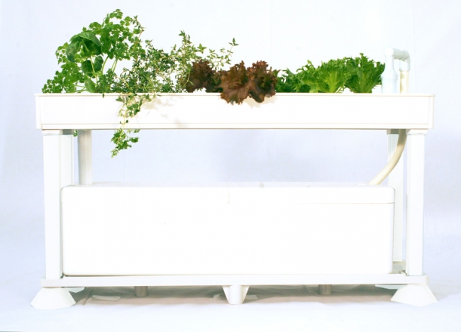 家庭で楽める本格派水耕栽培キット「ホームハイポニカシリーズ」2種 新