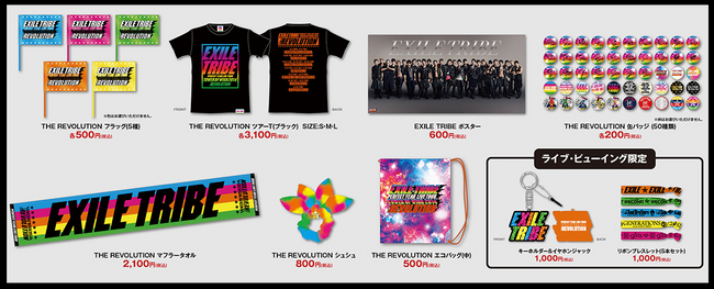 EXILE TRIBE PERFECT YEAR LIVE TOUR TOWER OF WISH 2014～THE