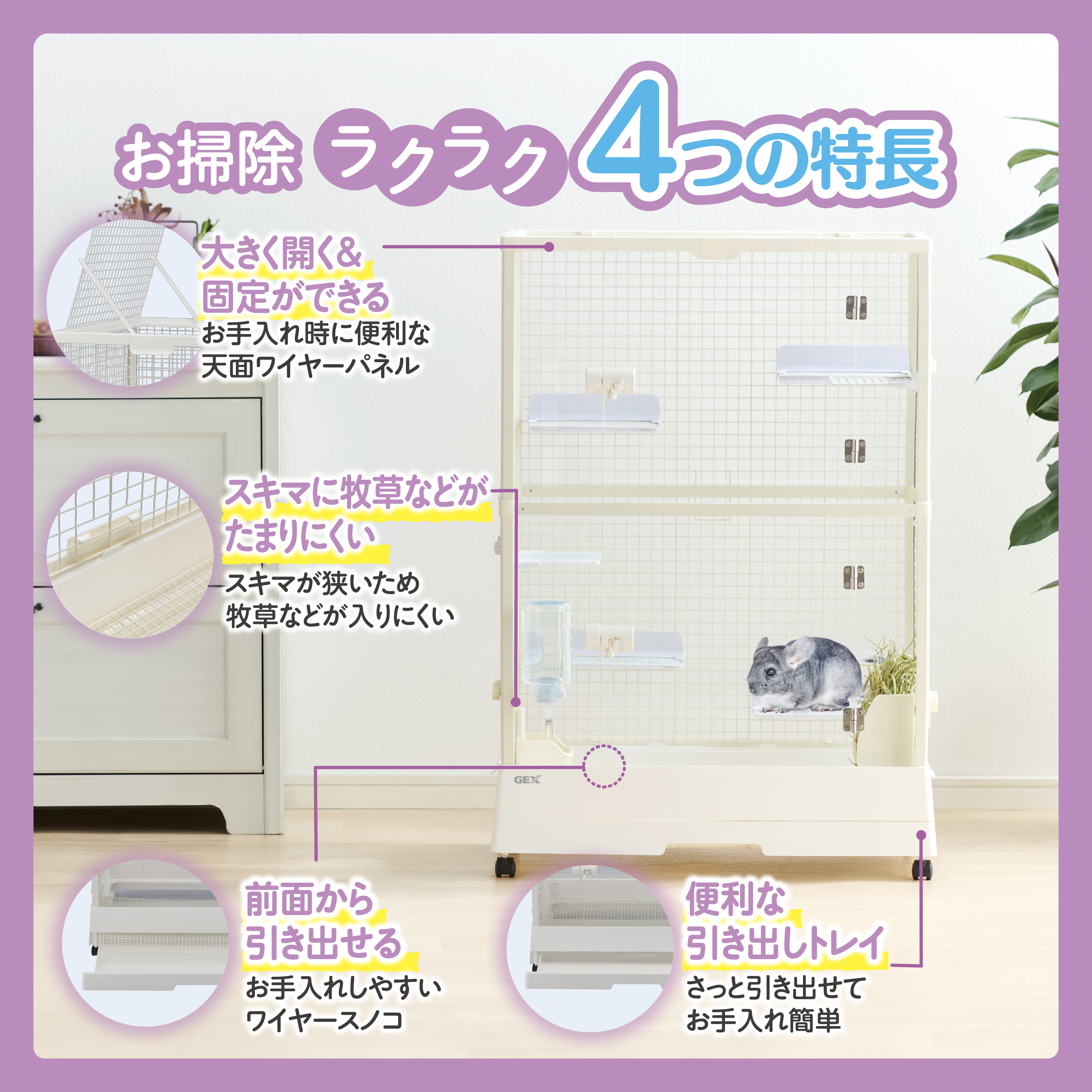 mydata_3124.jpg?1771312154