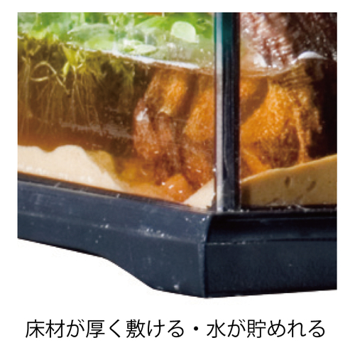 グラステラリウム4560 PT2607 | ジェックス株式会社
