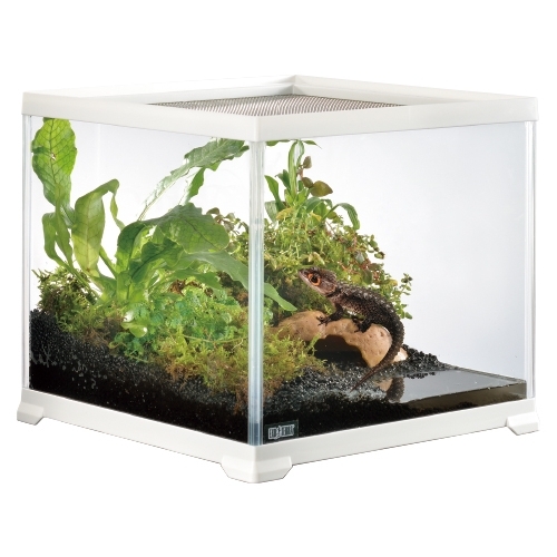 レプテリアホワイト300CUBE High | ジェックス株式会社