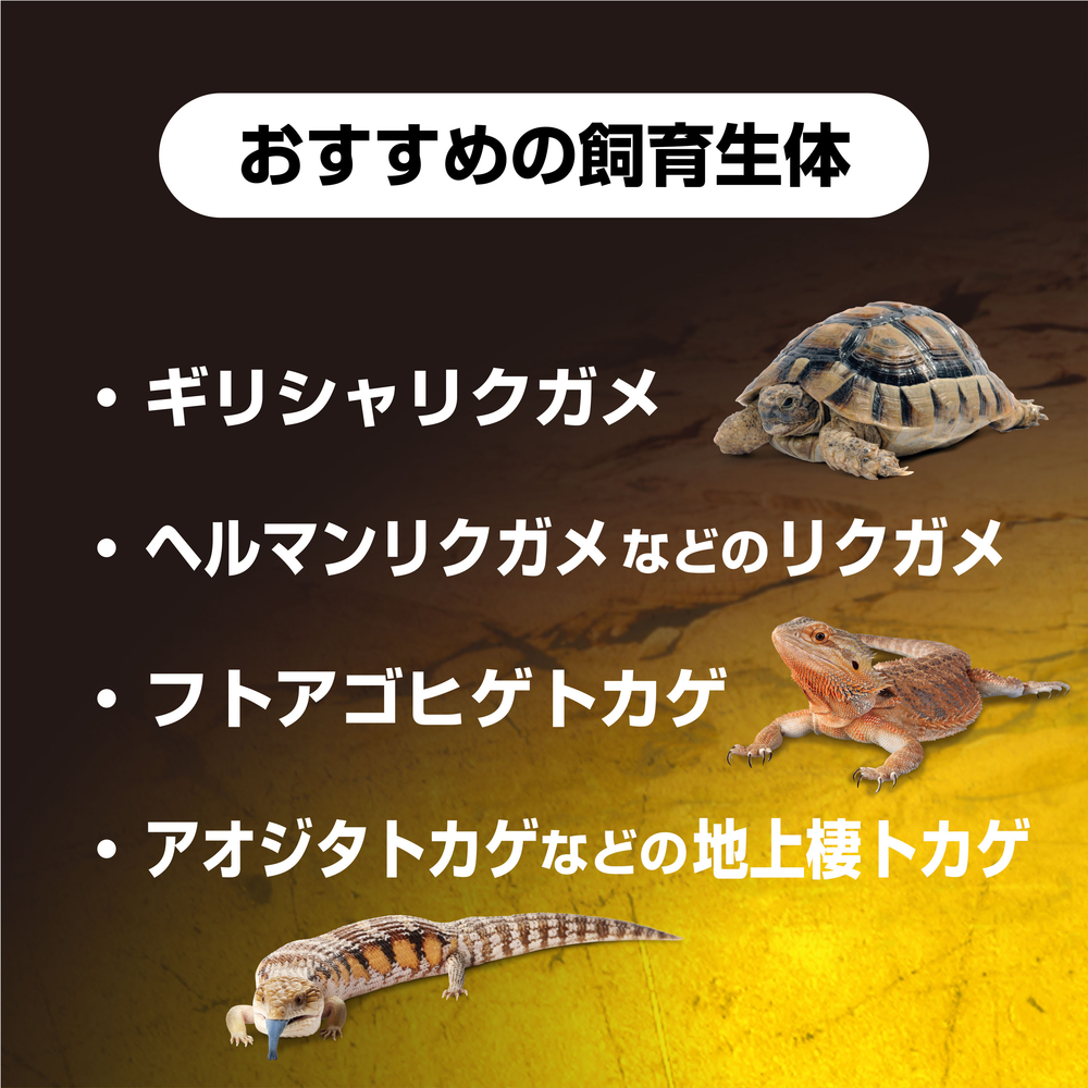 フトアゴヒゲトカゲ&リクガメ飼育キットBK | ジェックス株式会社